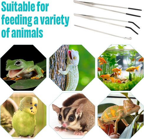 3 Pcs Stainless Steel Reptile Feeding Tool Set with 2 Rubber Tipped Tongs and 1 Crested Gecko Feeding Spoon, Crested Gecko Tank Accessories for Geckos, Lizards, Bearded Dragons, and Small Animals in Kuwait