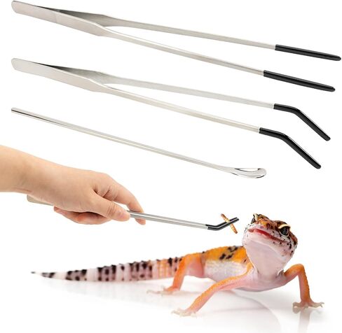 3 Pcs Stainless Steel Reptile Feeding Tool Set with 2 Rubber Tipped Tongs and 1 Crested Gecko Feeding Spoon, Crested Gecko Tank Accessories for Geckos, Lizards, Bearded Dragons, and Small Animals in Kuwait