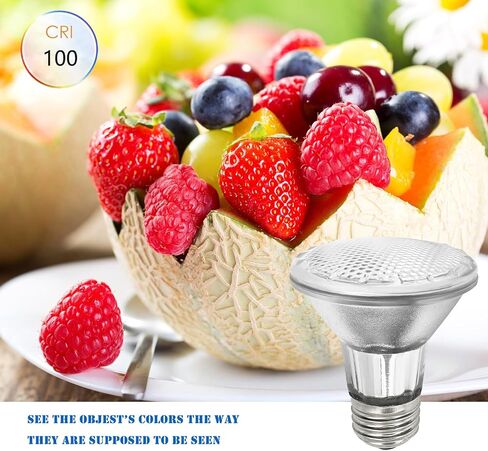 Par20 Bulbs, 2 Pcs 120V 50W Par20 Flood Light Bulbs, E26 Medium Base Long Lasting Life High Output Reflector Flood Lights -Warm Light in Saudi Arabia