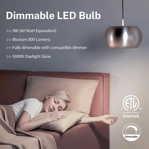 A19 LED Light Bulb, 100W Equivalent Light Bulbs, 15W 5000K Daylight, 1500 Lumens, Non-Dimmable LED Bulb, E26 Standard Base for Indoor and Outdoor, ETL Listed, 6-Pack in Saudi Arabia