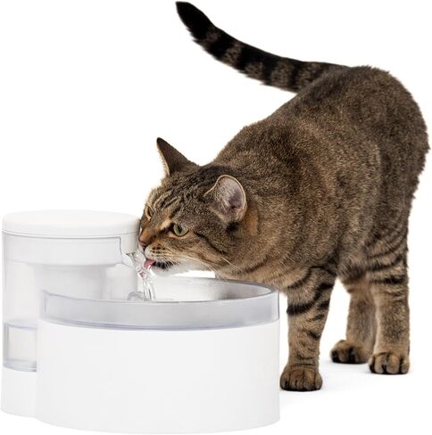 PetSafe Outlast Pumpless Water Fountain 128 oz – Multi-Pet and Dog Water Fountain - Dishwasher Safe, Easy Assembly and Cleaning, Water Filter Included in Kuwait