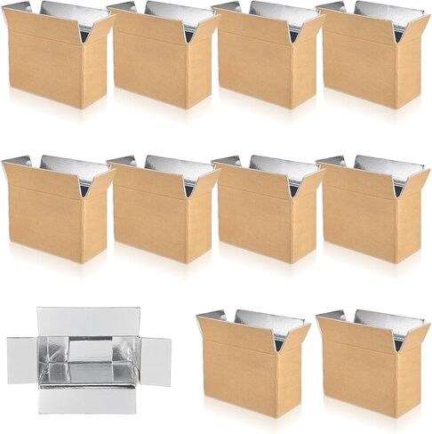 10 Pcs Insulated Shipping Box Cold Chill Double Insulated Carton with Foil Foam Cooler Boxes Delivery Moving Kits Foam Shipping Containers for Mailing Packing, Box Inside 8.66 x 4.52 x 6.3 in in Saudi Arabia