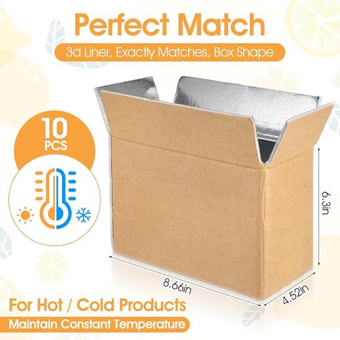 10 Pcs Insulated Shipping Box Cold Chill Double Insulated Carton with Foil Foam Cooler Boxes Delivery Moving Kits Foam Shipping Containers for Mailing Packing, Box Inside 8.66 x 4.52 x 6.3 in in Saudi Arabia