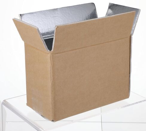 10 Pcs Insulated Shipping Box Cold Chill Double Insulated Carton with Foil Foam Cooler Boxes Delivery Moving Kits Foam Shipping Containers for Mailing Packing, Box Inside 8.66 x 4.52 x 6.3 in in Saudi Arabia