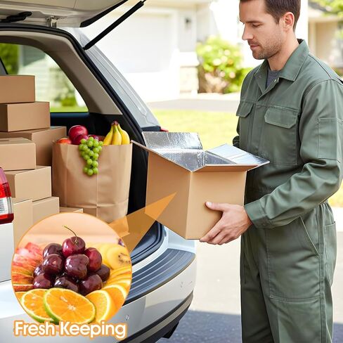 10 Pcs Insulated Shipping Box Cold Chill Double Insulated Carton with Foil Foam Cooler Boxes Delivery Moving Kits Foam Shipping Containers for Mailing Packing, Box Inside 8.66 x 4.52 x 6.3 in in Saudi Arabia