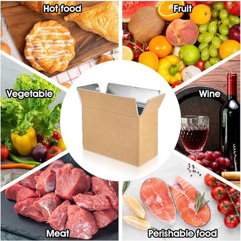 10 Pcs Insulated Shipping Box Cold Chill Double Insulated Carton with Foil Foam Cooler Boxes Delivery Moving Kits Foam Shipping Containers for Mailing Packing, Box Inside 8.66 x 4.52 x 6.3 in in Saudi Arabia