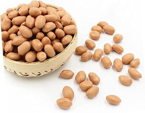 1bag Artificial Groundnut Kernels Fake Peanut Models for Photography Props Realistic Simulation Nuts for Home Decor and Events for Displays and Craft Projects in Saudi Arabia