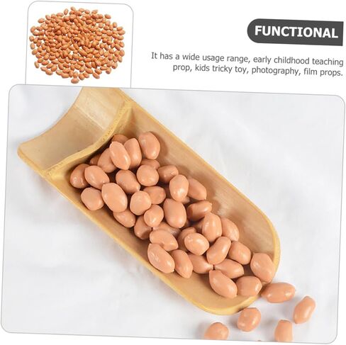 1bag Artificial Groundnut Kernels Fake Peanut Models for Photography Props Realistic Simulation Nuts for Home Decor and Events for Displays and Craft Projects in Saudi Arabia