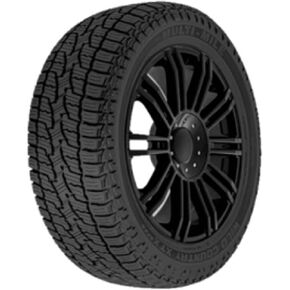 إطار متعدد الأميال Wild Country XTX AT4S لجميع التضاريس 265/50R20 111T XL SUV/Crossover in Kuwait