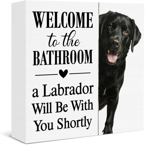 Funny Bathroom Cat Decor Welcome to the Bathroom a Cat Will Be with You Shortly Rustic Wooden Box Sign for Home Toilet Shelf Wall Decor in Saudi Arabia