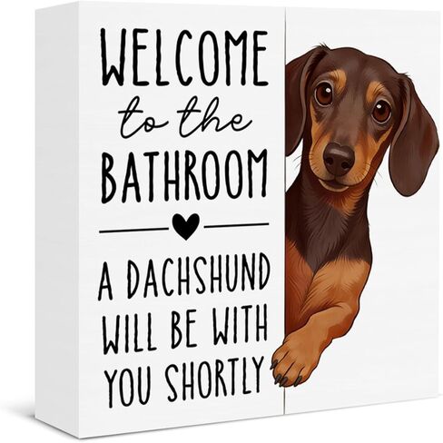 Funny Bathroom Cat Decor Welcome to the Bathroom a Cat Will Be with You Shortly Rustic Wooden Box Sign for Home Toilet Shelf Wall Decor in Saudi Arabia