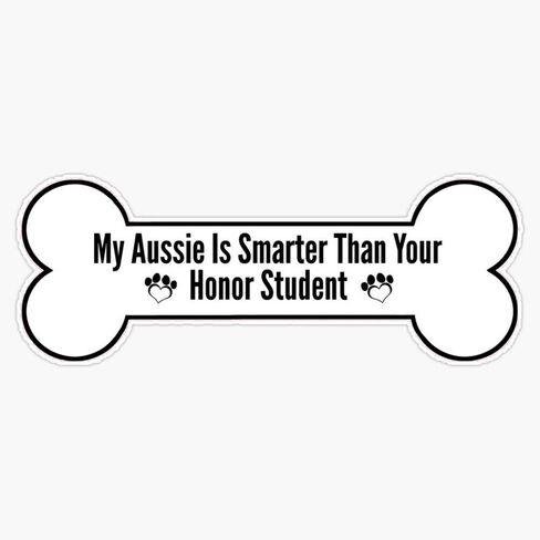 MAGNET My Aussie Is Smarter Than Your Honor Student - Bumper Magnetic Sticker Vinyl Waterproof Magnet Decal Car 5" in Saudi Arabia
