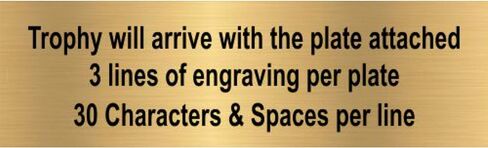 جوائز العقد جائزة باتريوت بوبلهيد التميمة - بطول 15.24 سم | جائزة باتريوت محفورة - خصصها الآن in Kuwait