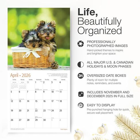 RED EMBER Yorkie Puppies Yorkshire Terriers 2026 Wall Calendar 12 Month | 12" x 24" Open | Thick & Sturdy Paper | Holiday Gift | Cute Puppy Dog Calendar 2026 in Saudi Arabia