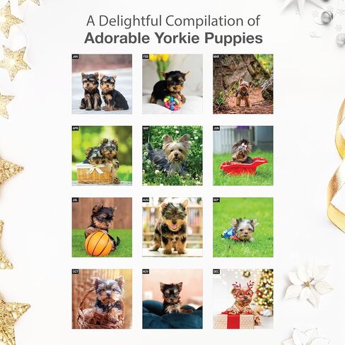 RED EMBER Yorkie Puppies Yorkshire Terriers 2026 Wall Calendar 12 Month | 12" x 24" Open | Thick & Sturdy Paper | Holiday Gift | Cute Puppy Dog Calendar 2026 in Saudi Arabia