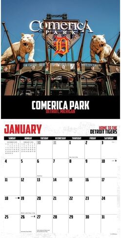 Willow Creek Press, Play Ball 2026 Wall Calendar, 12'' X 12'', 12-Month Calendar with Stapled Binding in Saudi Arabia