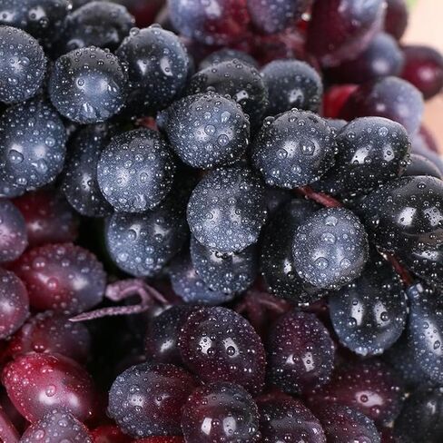 10 Bunches Fake Grapes Grape Hanging Ornaments Lifelike Rubber Grape Bunches Artificial Fruits for Home Kitchen Party Garden Decor Fruit Basket Decoration Food Ornaments Photography Props (5 Colors) in Saudi Arabia