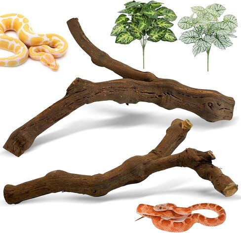 Reptile Branch Decor 2 Pcs Snake Climbing Wood Branches Lizard Habitat Decorations Terrarium Natural Forest Tree Trunk Ornament for Bearded Dragon Geckos Chameleon Frog in Saudi Arabia