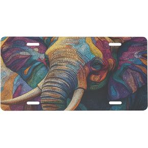 Colorful Skull Gothic Front License Plate for Women Men Funny Car License Plates with 4 Holes Aluminum Metal Novelty Vanity Tag Cover Rust-Proof Us Canada Car Decor Accessory 6 * 12 Inches in Kuwait