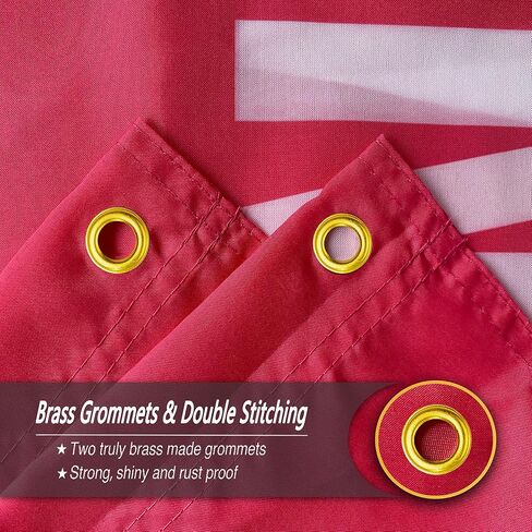 siixoi momma aint رفع لا الكلبة العلم 3x5 قدم مضحك الوردي رجل الكهف جدار العلم لغرفة في سن المراهقة الفتيات غرفة نوم داخلية وكلية النوم جدار ديكور راية نسيج الهدايا in Kuwait