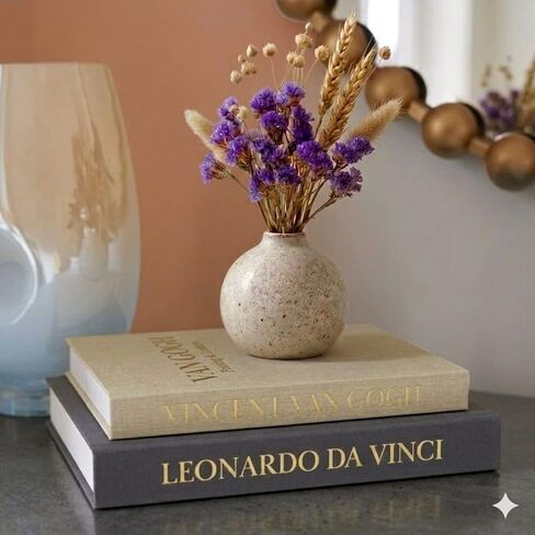 ELIHAM ESSENTIALS Premium Decorative Books - Set of 2 - Linen Storage Box for Coffee Table Faux Decor Boxes for Bookshelf Fake Books for Decoration for Living Room - Modern Home (Beige & Camel) in Saudi Arabia