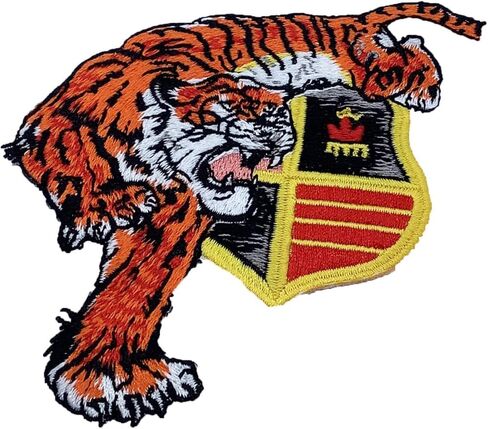 VMFA (AW)-224 Fighting Bengals Patch – Plastic Backing in Saudi Arabia