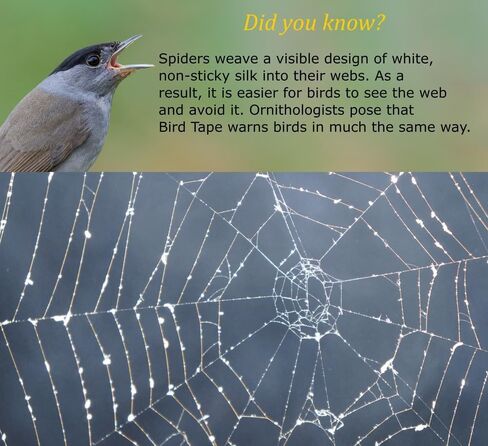 تصادم | شريط عاكس للطيور للنوافذ (3/4 بوصة × 40 بوصة - يغطي 2 إلى 3 نوافذ) | شارات النوافذ لمنع ضربات الطيور للنوافذ | أبيض in Kuwait