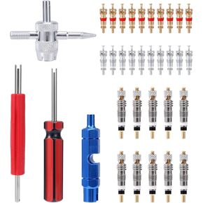 4 قطع أداة إزالة صمامات أساسية، 4 في 1 & أداة إصلاح جذع الإطارات المزدوجة والمفردة مع 30 قطعة من قلوب صمام الإطارات للدراجات النارية والسيارات والشاحنات والدراجات النارية in Kuwait