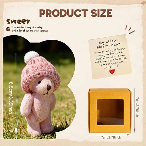 2Pcs Worry Bear, My Little Worry Bear Pocket Bear - Soft Emotional Support Pocket Bear Gifts for Friends and Family, Portable Comfort Buddy in Kuwait