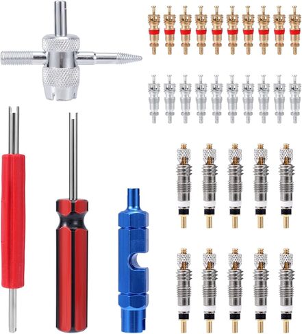 4 قطع أداة إزالة صمامات أساسية، 4 في 1 & أداة إصلاح جذع الإطارات المزدوجة والمفردة مع 30 قطعة من قلوب صمام الإطارات للدراجات النارية والسيارات والشاحنات والدراجات النارية in Kuwait