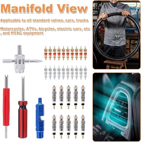 4 قطع أداة إزالة صمامات أساسية، 4 في 1 & أداة إصلاح جذع الإطارات المزدوجة والمفردة مع 30 قطعة من قلوب صمام الإطارات للدراجات النارية والسيارات والشاحنات والدراجات النارية in Kuwait