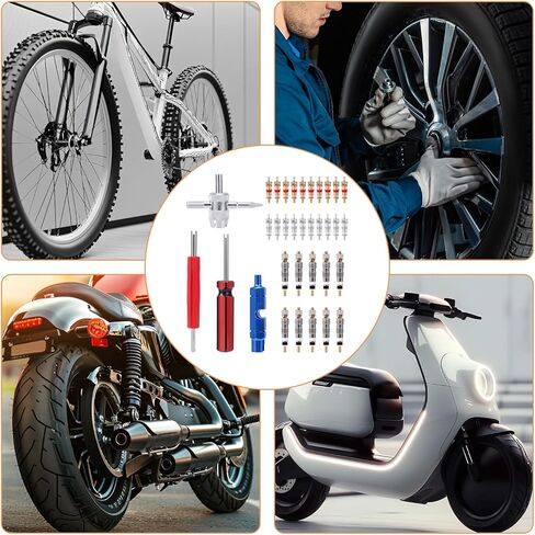 4 قطع أداة إزالة صمامات أساسية، 4 في 1 & أداة إصلاح جذع الإطارات المزدوجة والمفردة مع 30 قطعة من قلوب صمام الإطارات للدراجات النارية والسيارات والشاحنات والدراجات النارية in Kuwait