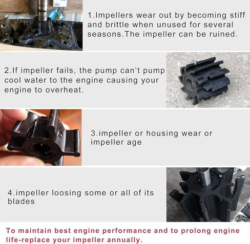 BDFHYK 393630 مجموعة إصلاح دفاعة مضخة المياه مع مبيت لجونسون Evinrude، محركات خارجية ثنائية الشوط (20,25,30,35 حصان) تحل محل 393630,0393630، سييرا 18-3382 in Kuwait