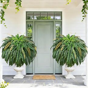 مارتين مول 2 قطعة 48 بوصة/133 ورقة سرخس صناعية وهمية للخارج تبدو حقيقية، سرخس بوسطن صناعية كبيرة للزراعة الخارجية، نباتات صناعية صناعية مقاومة للأشعة فوق البنفسجية واقعية في الهواء الطلق لفناء الشرفة in Kuwait