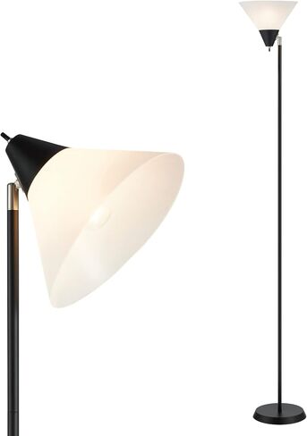 HonoDing Floor Lamp Standing Lamp Adjustable Head Arcylic Shade Floor Lamps for Living Room/Office/Bedroom (Black) in Saudi Arabia