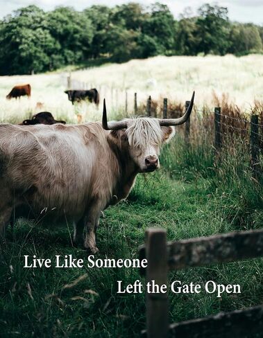 Highland Cow Gifts Women, Live Like Someone Left the Gate Open Cow Journal 200 Pages Notebook A5 Lined with Pen and Keychain, Motivational Highland Cow Gifts for Cow Lovers Birthday Christmas in Saudi Arabia