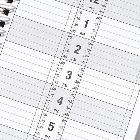 Appointment Book – Undated Salon Appointment Book, 2 Column, 11.5" x 4.7", Daily/HourlyPlanner with 200 Pages, 6 AM - 9 PM, 15 Minute Intervals Day Planner, Twin-Wire Binding, Hardcover - Gray in Saudi Arabia