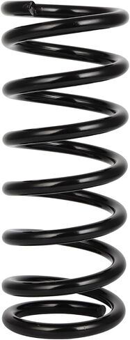 AUTOMUTO 2X Rear Suspension Coil Spring Set Fits for 2002-2007 for Saturn Vue, Driver and Passenger Side, Replace 81393 in Saudi Arabia