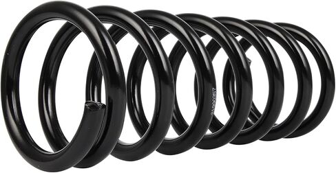 AUTOMUTO 2X Rear Suspension Coil Spring Set Fits for 2002-2007 for Saturn Vue, Driver and Passenger Side, Replace 81393 in Saudi Arabia