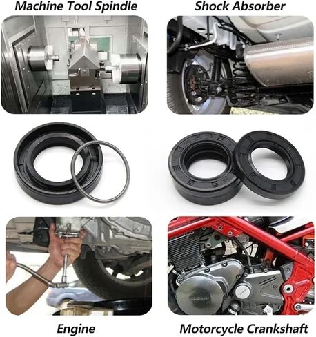 ID 10mm TC NBR Skeleton Oil Seal OD 16mm ~ 30mm 5/6/7/8/10mm Nitrile Rubber Double Lip Oil Rotating Shaft Gaskets(5 pieces,10x20x6mm) in Kuwait