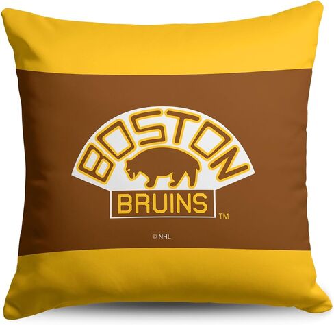 Northwest NASCAR Ross Chastain Double-Sided Throw Pillow 18x18 Inches, Soft Decorative Racing Accent Cushion, Simple Speed Design in Saudi Arabia