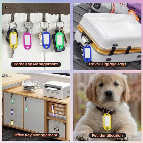 50 Pcs Key Ring Tags Identifiers Name and Labels Adapt to USB Drive Pets Bags Split Ring Window in Saudi Arabia