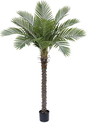 شجرة نخيل العنقاء الاصطناعية: شجرة نخيل جوز الهند الصناعية بطول 6 أقدام، نبات حريري استوائي ساجو كبير، نبات نخيل لحاء واقعي منحوت يدويًا للمنزل الساحلي، داخلي وخارجي بجانب حمام السباحة، مكتب، حديقة، فناء ديكور in Kuwait