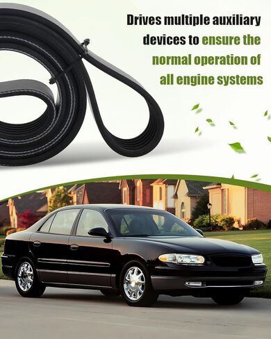 حزام سير السربنتين للمحرك 1060663 مناسب لسيارات جيب دودج بويك شيفروليه كرايسلر بونتياك مناسب لشاحن جراند شيروكي دورانجو تشالنجر ريجال إمبالا مونتي، 66.33 بوصة in Kuwait