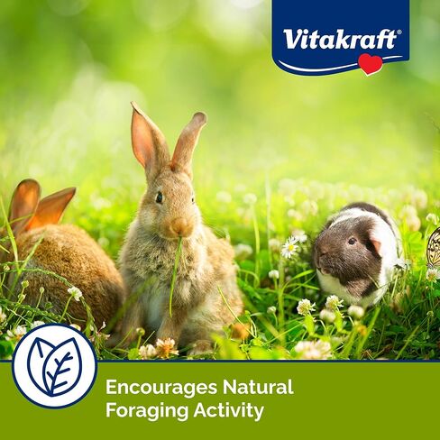 علاج فطيرة الفواكه من فيتاكرافت - 8 عبوات للأرانب وخنازير غينيا والهامستر in Kuwait