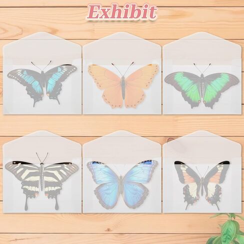 Xindojuz 50 PCS Vellum Envelopes, 4.5 × 3.2 Inch Translucent Glassine Envelope Self Sealing Mini Clear Envelopes Holders for Seeds Coin Stamp Collecting Lottery Ticket Gift Card Wedding Invitation in Saudi Arabia