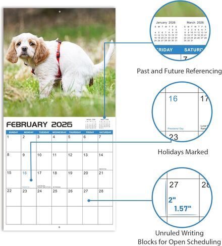 2024-2025 Wall Calendar – 18 Monthly Pooping Dogs Calendar 2024-2025, Jul 2024 - Dec 2025, Funny Dog Calendar Gag Gifts, 11.8" x 23.6" (Open), 11.8" x 11.8"(Closed), Perfect White Elephant Gift Funny in Kuwait