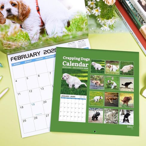 2024-2025 Wall Calendar – 18 Monthly Pooping Dogs Calendar 2024-2025, Jul 2024 - Dec 2025, Funny Dog Calendar Gag Gifts, 11.8" x 23.6" (Open), 11.8" x 11.8"(Closed), Perfect White Elephant Gift Funny in Kuwait