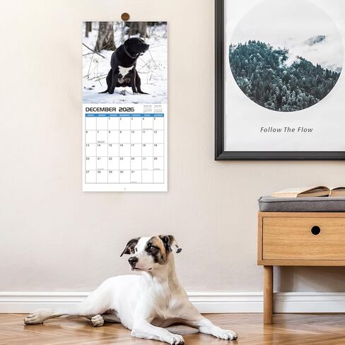 2024-2025 Wall Calendar – 18 Monthly Pooping Dogs Calendar 2024-2025, Jul 2024 - Dec 2025, Funny Dog Calendar Gag Gifts, 11.8" x 23.6" (Open), 11.8" x 11.8"(Closed), Perfect White Elephant Gift Funny in Kuwait