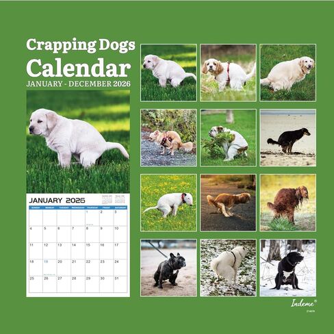 2024-2025 Wall Calendar – 18 Monthly Pooping Dogs Calendar 2024-2025, Jul 2024 - Dec 2025, Funny Dog Calendar Gag Gifts, 11.8" x 23.6" (Open), 11.8" x 11.8"(Closed), Perfect White Elephant Gift Funny in Kuwait